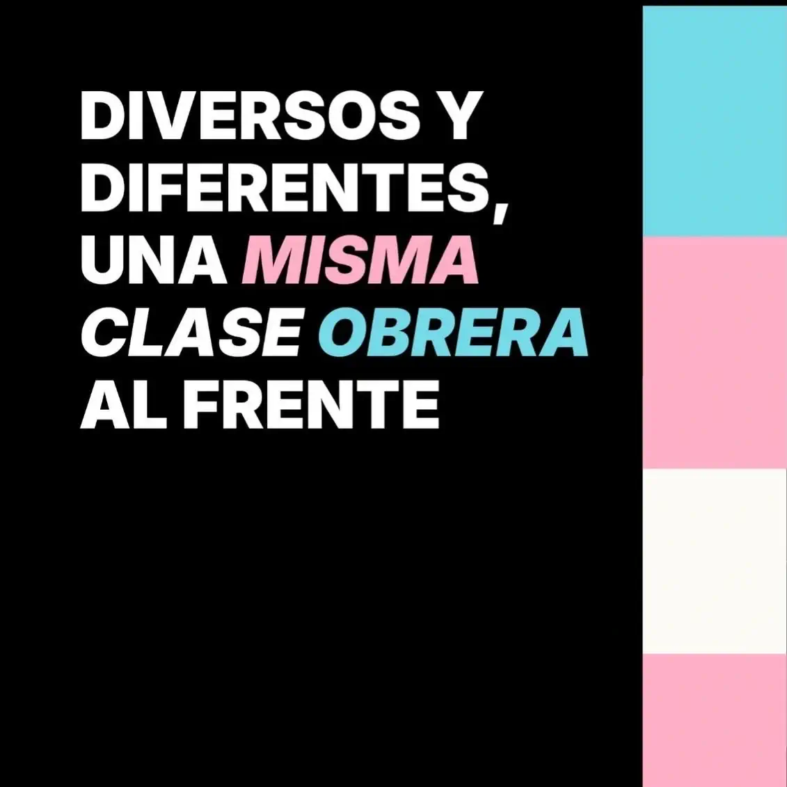 Orgullo de clase LGTBI 2026. Diversos y diferentes, clase obrera al frente